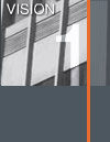 Vision